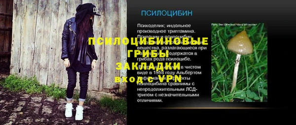 соль ск Костерёво